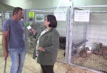 Entrevista a Manuel García, criador de animales de razas autóctonas