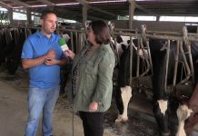 Ganadería Casa Santos de El Espín (Tineo)