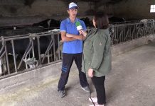 Ganadería Casa Fermín de Cornás (Tineo)