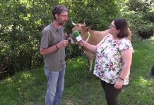Entrevista a Tino Sánchez, veterinario y distribuidor de Digitanimal en Asturias