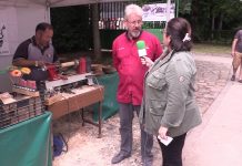 Exhibición en la Feria de Muestras de la Asociación de Amigos de la Madera ‘Les Forgaxes’