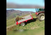 Demostración del remolque esparcidor de estiércol desmontable de Asturtomi