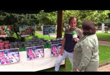 Grosellas Cuitu, una apuesta por el fruto rojo en Siero