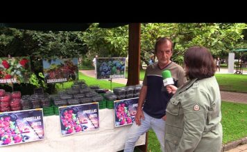 Grosellas Cuitu, una apuesta por el fruto rojo en Siero