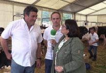 Ganadería El Gorgoyu y Ganadería Los Laureles en el Concurso de Villaviciosa