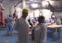 Entrevista a Panero, del Matadero Central de Asturias