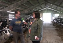 Entrevista a José Álvarez Alonso, de Ganadería Nogal en Idarga (Salas)