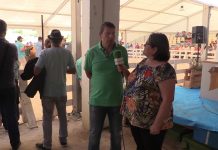 Entrevista a José Ramón Feito Lorences, alcalde de Tineo