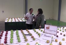 Entrevista a Francisco Foncueva, de Sariego