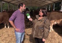 Entrevista a David Álvarez, alcalde de Pravia