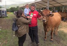 Entrevista a Isaac López, de Ganadería Las Piqueras de Villavaler (Pravia)