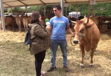 Entrevista a David García, ganadero de Pravia