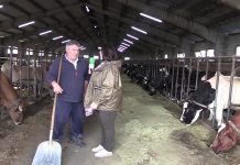 Entrevista a José Luis González, de Ganadería Cholo (Santa Eulalia de Tineo)