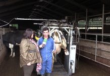 Entrevista a Jorge Rodríguez, podólogo bovino