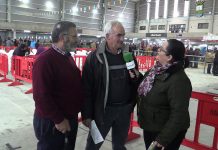 Entrevista a Leandro Gorostiza, ganadero vasco