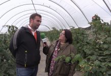 Entrevista a Marco Feito Areces, de Frambuastur (Tineo)