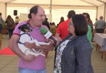 Entrevista a Rafael García, que anima a la adopción de perros