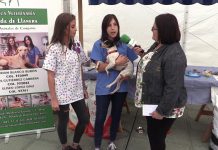 Entrevista a Iris Gutiérrez y Miriam Blanco, veterinarias
