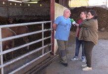 Arturo Menéndez Estrada, de Ganadería Hermanos Menéndez, de Verdera (Nava)