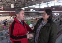 Entrevista a Claudio Fano, presidente de `La Pinina’