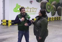 Entrevista a Javier Feito, gerente de Feito y Toyosa