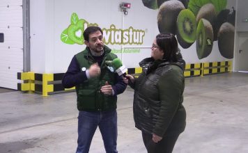 Entrevista a Javier Feito, gerente de Feito y Toyosa