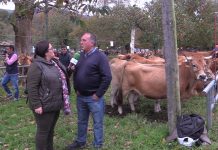 Entrevista a Valeriano Remis, presidente de ASEAMO