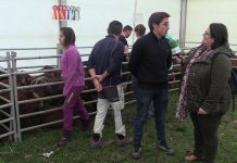 Entrevista a Benito Garrido, director técnico de ACRIBER