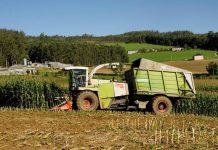 La Renta Agraria crece un 3,4% en 2018 hasta los 29.955 millones de euros