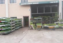 Florencio Rodríguez, el Agricentro de Pesues