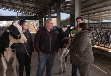 Ganadería Casa Venturo de Idarga (Salas)