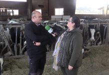 Entrevista a Plácido Mayo de Ganadería Casa Patrón