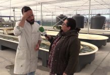 Agroclaudio distribuirá los productos Equialgae y Spiragro de Neoalgae