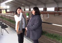 Entrevista a Cruz Maestre, de Yeguada Finca Maeza de Sariego