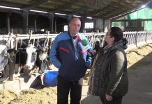 Entrevista a Maximino Antonio Colado de Ganadería Casa Lucaria de Vega de Rey (Tineo)