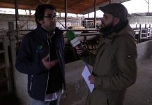 Entrevista a Mario Vázquez, gerente de zona de De Heus