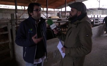 Entrevista a Mario Vázquez, gerente de zona de De Heus