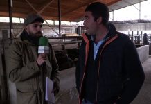 Entrevista a David Martínez, ganadero de Riberas (Soto del Barco)