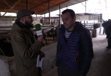 Entrevista a Noé Rodríguez, ganadero de Peruyera (Pola de Allande)