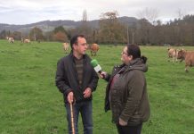 Entrevista a Ramón Magadán, ganadero de Posada