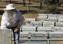 UPA reclama un etiquetado que permita a los consumidores “saberlo todo” sobre la miel