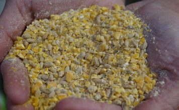 Grupo Ladislao apuesta por el pienso ecológico