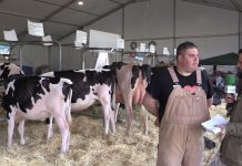 Entrevista a Diego Bueno, ganadero de Boronas (Otur)