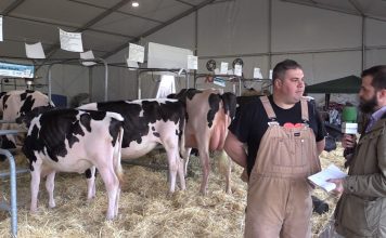 Entrevista a Diego Bueno, ganadero de Boronas (Otur)