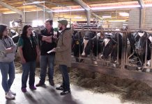 Entrevista a la ganadería Ronderos y García