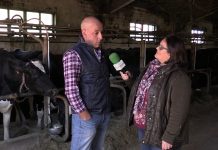 Entrevista a José Manuel Álvarez Coto, de Casa Coto