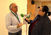Entrevista a Jaume Cambra, apicultor ecológico