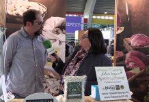 Entrevista a Luis Flórez, de Fabas Tayón