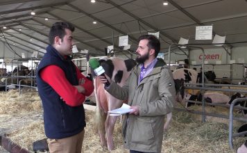 Entrevista a Plácido Mayo, de Casa Patrón (Tineo)