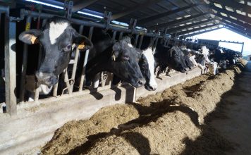 El Gobierno de Asturias ya ha abonado a los ganaderos 63,6 millones de las ayudas de la Política Agrícola Común de 2018